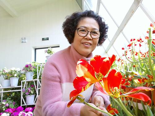 孙淑芬的美篇