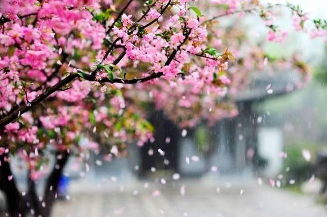 游丝软系飘春榭,落絮