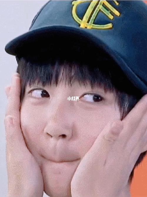 章鱼烧_贺峻霖_娱乐_明星娱乐