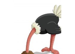 卡通鸵鸟设计素材图片