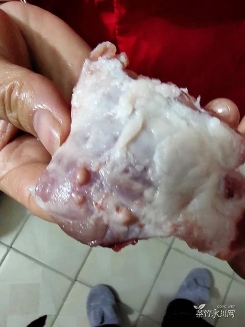 从刚买的猪肉里挤出来白色粉状物,这是什么东西?