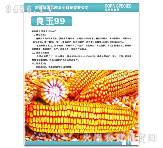 高产玉米品种良玉99