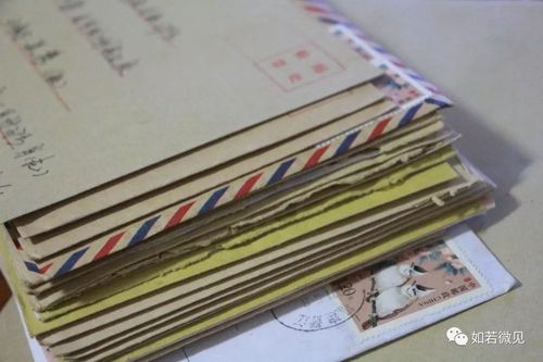 鲁先飞我的笔友