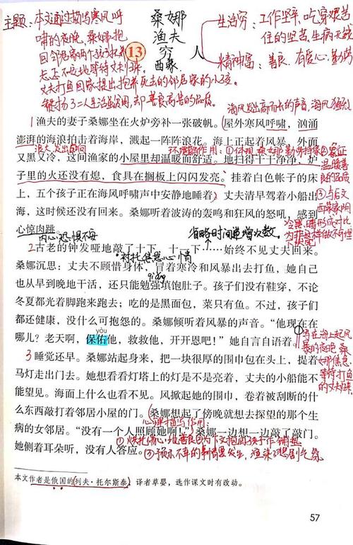 部编版六上:穷人手写笔记,常考题型,图文精讲