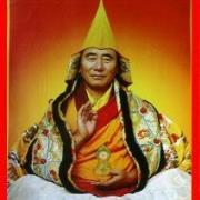 玉树龙西寺头像