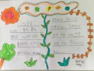 收纳小达人的内容怎么写手抄报 安全内容手抄报