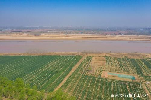航拍济南黄河大坝,20公里红叶李竞相盛开,柳绿花红春意浓