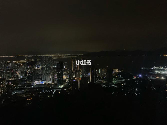 深圳大南山公园7815_夜景_记录我的城市_出行_去处