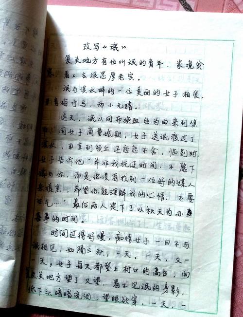苑立明老师布置的作业,改写《氓》.