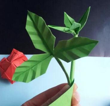 折纸百合花教案格式注意事项,花卉的折纸技巧!