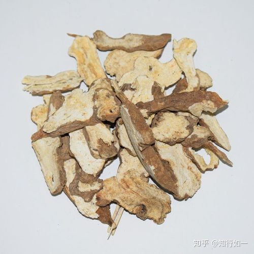 4,白术