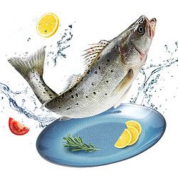 品珍鲜活 国产三去海鲈鱼三条净重1200g 海鱼(去鳞去鳃去内脏)活鱼鲜