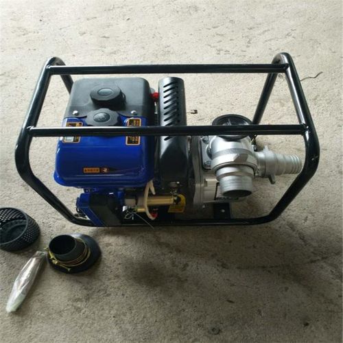 鲁强lqcs-2 农业菜园排灌浇地水泵 便携式汽油抽水泵