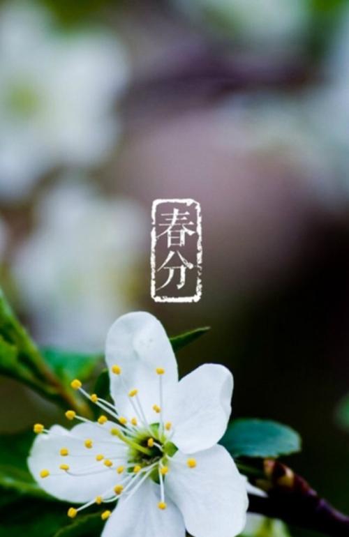 春分玄鸟至雷乃发声始电