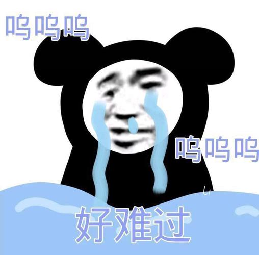 沙雕熊猫头表情包:太好玩了哈哈哈