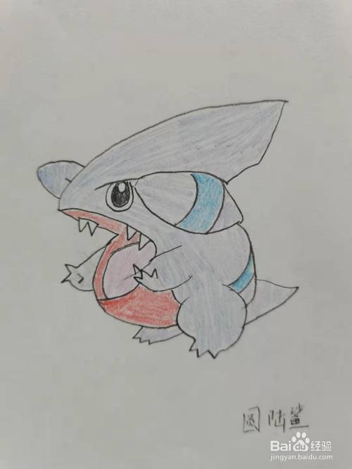 圆陆鲨怎么画