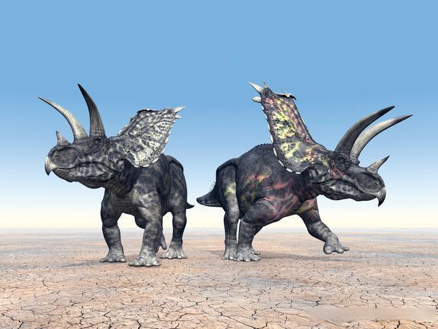 五角龙竟然只有三只角?《恐龙全书》