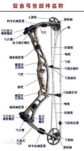 复合弓 详解
