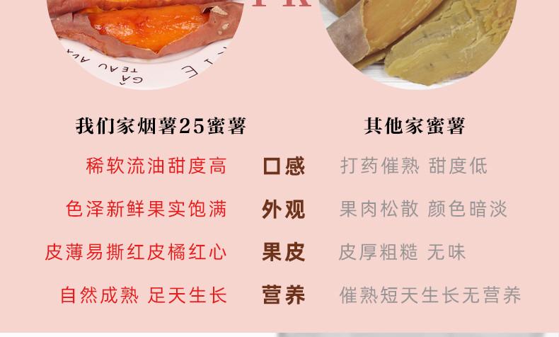 烟薯25号新鲜山东临沂地瓜红薯产地直销农家山芋沙地烤蜜薯农产品5斤