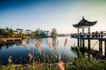 江宁大塘金-风景摄影-开心修罗-poco摄影作品展示