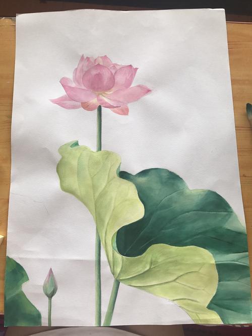 水粉画:荷花_绘画_影视_绘画