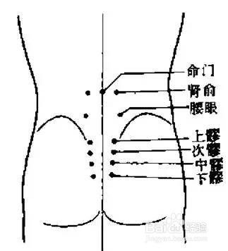 男人养生之怎么健肾强腰