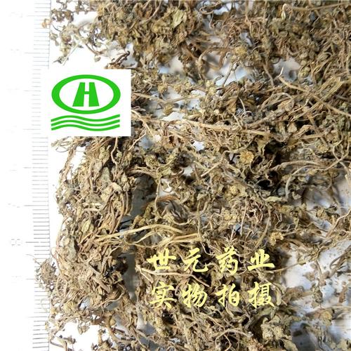 猪屎草 砂药草 白地茜 猪屎潺 通天窍 雾水沙 猫沙 小拳头 铁拳头 散