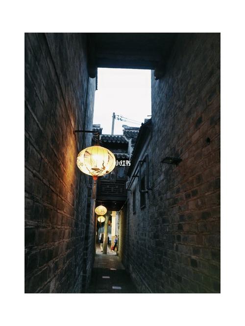 999999南京小西湖距离老门东非常近,其实两个地方可以一起去逛