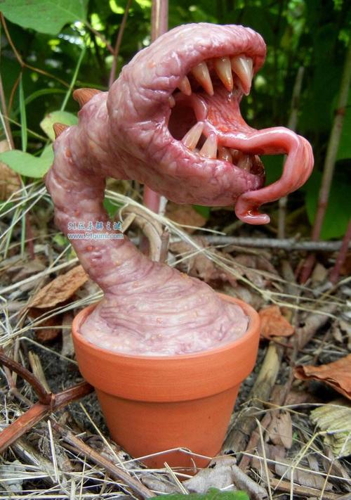 食人花真面目是什么?