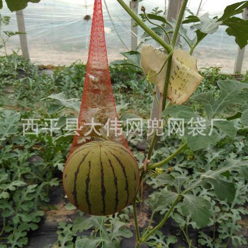 厂家直销大棚吊西瓜网袋 吊西瓜网袋 哈蜜瓜网兜 网袋