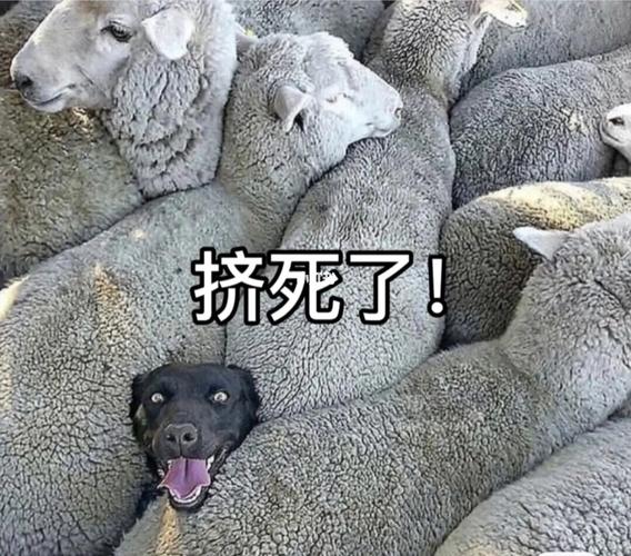 史上最全airdrop隔空投送表情包166地铁篇_表情包_素材_表情包