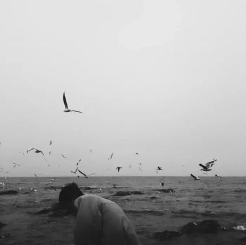 你适合一个人潇洒 不适合两个人浪漫