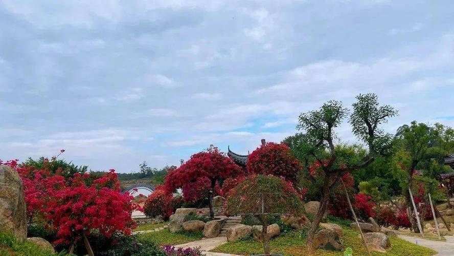 假期去哪玩广州最新宝藏级植物园开放预约3000亩花海等你来