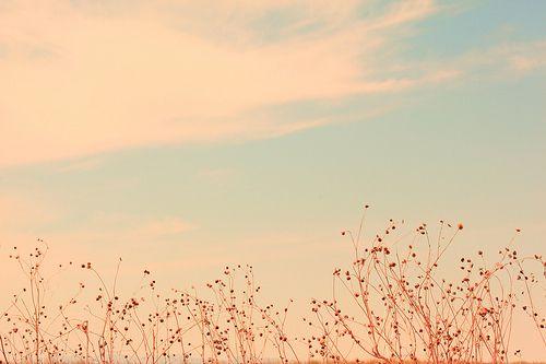 【8】幸福没有明天,也没有昨天,它不怀念过去,也不向往未来,它只有