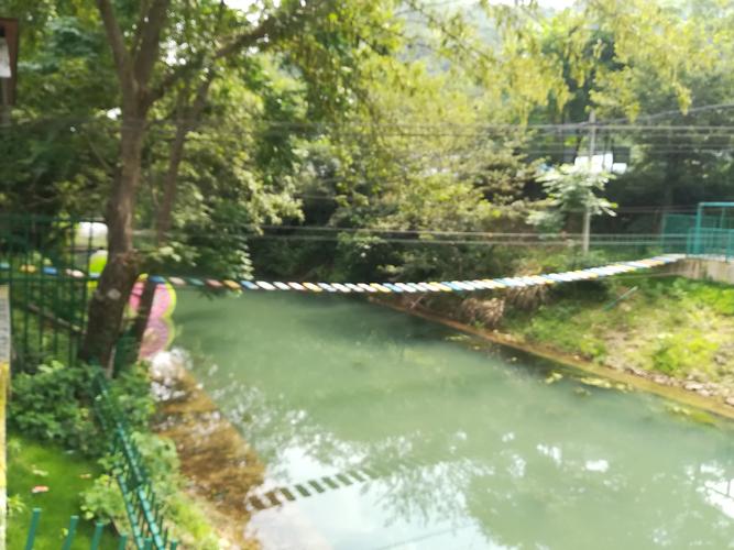 临海小芝碧水湾所见