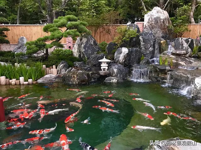 庭院鱼池假山风水需要注意什么|别墅|后花园_网易订阅