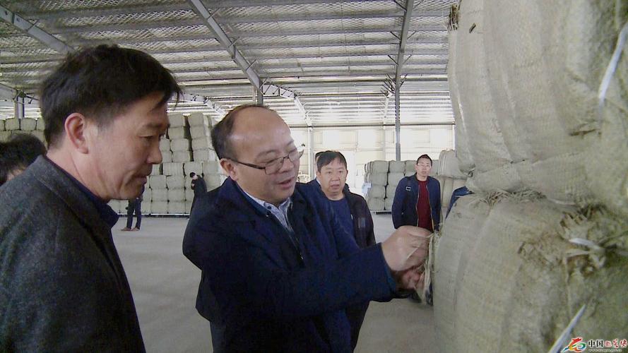 张文强率队赴江苏省考察并开展招商引资工作