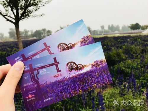 紫谷伊甸园门票图片 - 第1张