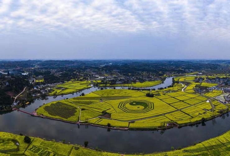 2021重庆·潼南陈抟故里菜花节2月26日开幕