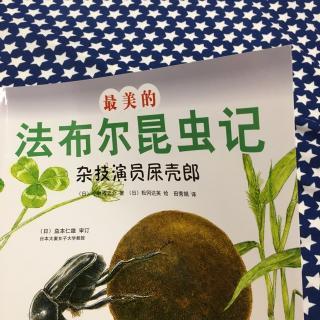 发布儿昆虫记屎壳郎