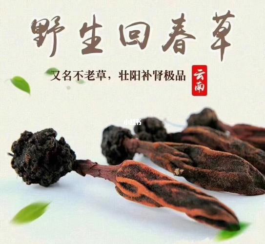 云南野生回春草_药品_医疗健康_医疗药品