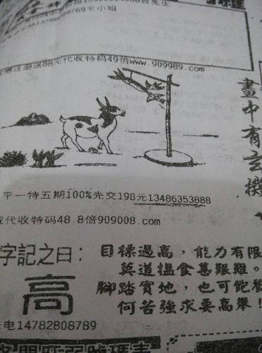 看图猜生肖数字