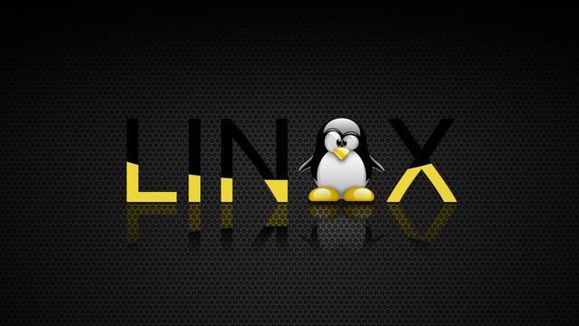 基础在linux终端中删除文件和文件夹
