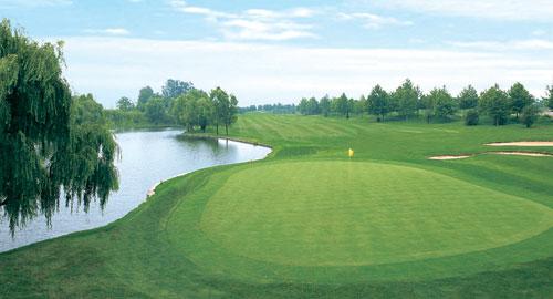 图文青岛华山高尔夫球场球场果岭