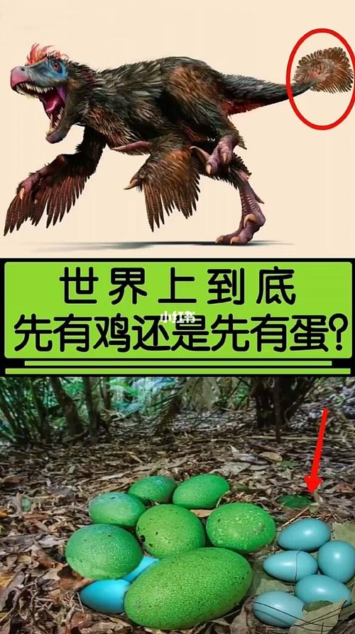 到底是先有鸡还是先有蛋?_趣味知识科普_社科_科学科普