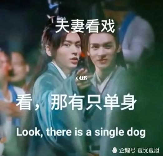 浪浪钉专属表情包_表情包_素材_表情包