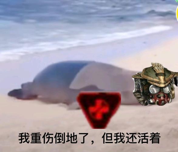 《apex英雄》沙雕图片