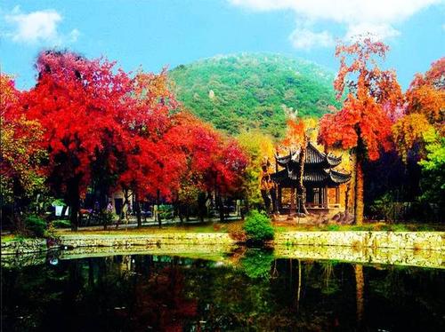 【已成行】把秋天收入囊中|苏州天平山赏红叶,闲逛七里山塘(11月19日)