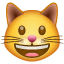 emoji | 大笑的猫 | whatsapp | 120 x 120