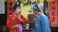 庐剧《皮瞎子》3 魏小波 王小兰 魏小峰 陈伶俐-娱乐-高清完整正版